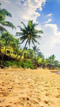 Dom wśród palm na plaży