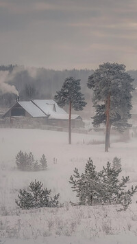 Domy i drzewa w śniegu
