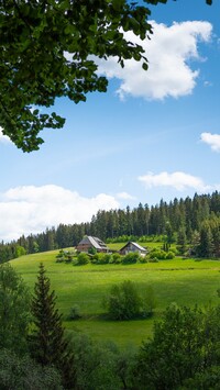 Domy na wzgórzu na polanie pod lasem