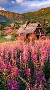 Domy w Tatrach