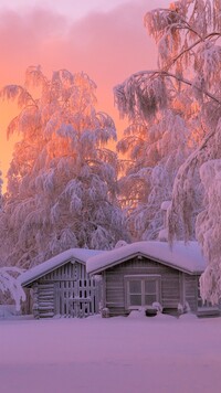 Drewniane ośnieżone domki w zimowym lesie