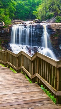 Drewniane schody przy wodospadzie Blackwater Falls