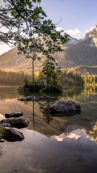 Drzewa i skały w jeziorze Hintersee