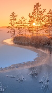 Drzewa i zamarznięte jezioro Ładoga o wschodzie słońca