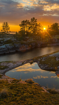 Drzewa na skałach nad jeziorem w promieniach słońca