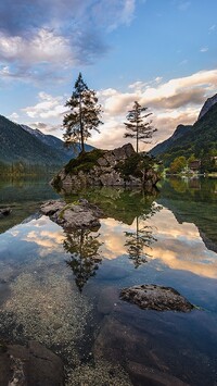 Drzewa na skałach w jeziorze Hintersee w Alpach