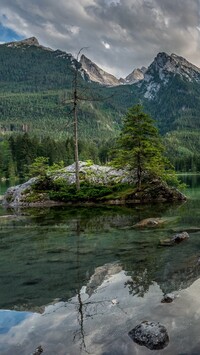 Drzewa na skale na jeziorze Hintersee