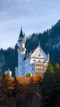 Drzewa na tle Zamku Neuschwanstein