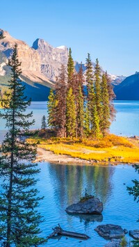 Drzewa na wyspie Spirit Island na jeziorze Maligne