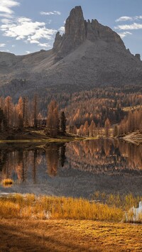 Drzewa nad jeziorem Federa we włoskich Dolomitach