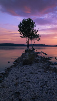 Drzewa nad jeziorem Kastoria