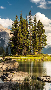 Drzewa nad jeziorem Maligne