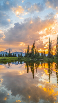 Drzewa nad jeziorem Tipsoo Lake