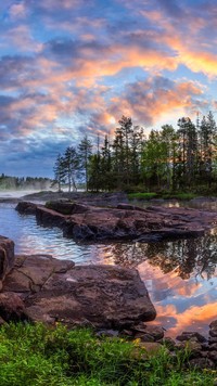 Drzewa nad rzeką Kliminkijoki