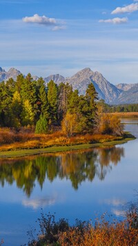 Drzewa nad rzeką Snake River i góry Teton Range w oddali