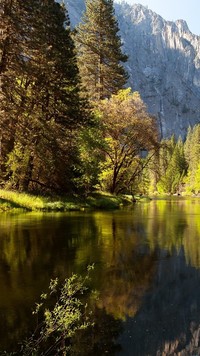 Drzewa nad rzeką w Parku Narodowym Yosemite