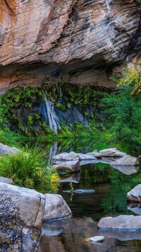 Drzewa nad rzeką w West Fork Oak Creek w Sedonie