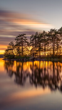 Drzewa o zachodzie słońca nad jeziorem