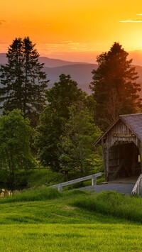 Drzewa obok mostu AM Foster Covered Bridge