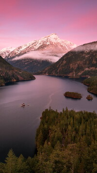 Drzewa wokół jeziora Diablo Lake