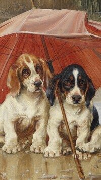 Dwa psy pod parasolem