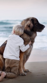 Dziecko z psem na plaży