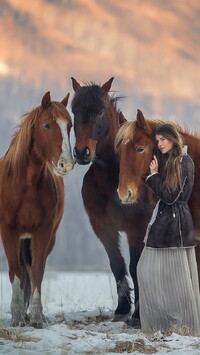 Dziewczyna i konie