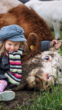 Dziewczynka trzymająca krowę