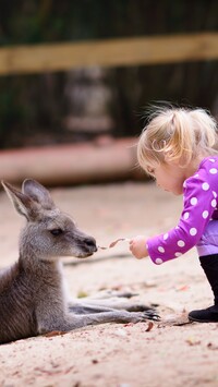Dziewczynka z kangurem