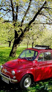 Fiat 500 w sadzie