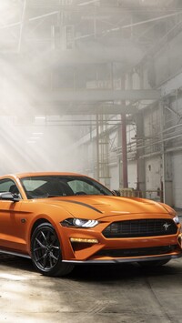 Ford Mustang High Performance Package