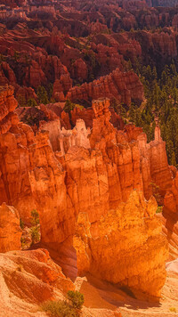 Formacje skalne w Parku Narodowym Bryce Canyon