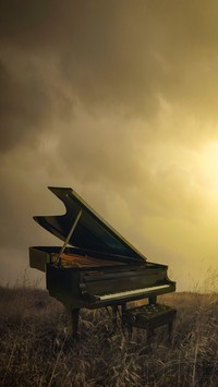 Fortepian na łące o zachodzie słońca