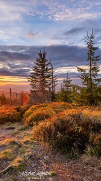 Góry Gorce w Polsce jesienią