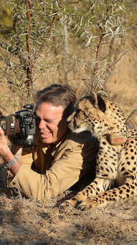 Gepard przy fotografie