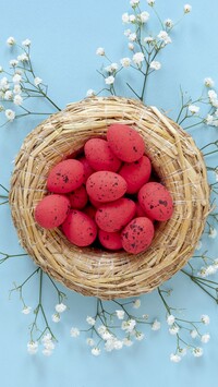 Gipsówki dookoła koszyka z jajeczkami