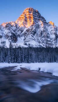 Góra Mount Chephren i drzewa w śniegu nad rzeką