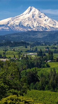 Góra Mount Hood w Oregonie