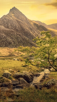 Góra Tryfan