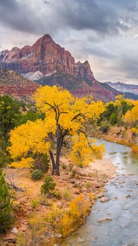 Góra Watchman i pożółkłe drzewa nad rzeką Virgin River