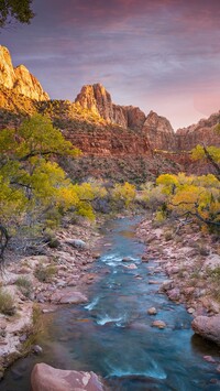 Góra Watchman i rzeka Virgin River