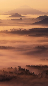 Góry i lasy w gęstej mgle