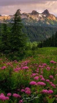 Góry Tatoosh Range