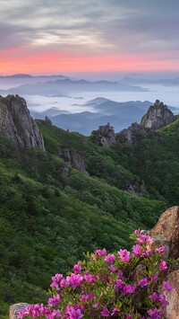 Góry Wolchulsan