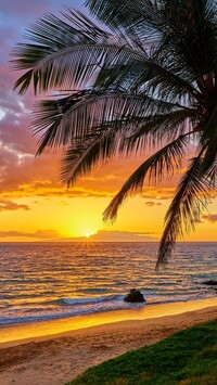 Hawaje o wschodzie słońca