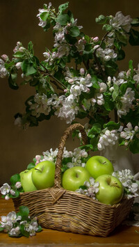 Jabłka w koszyku obok kwitnącej gałązki jabłoni w dzbanku