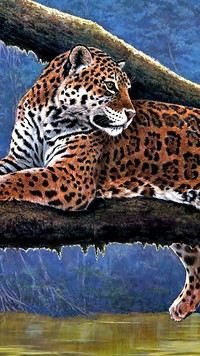 Jaguar na drzewie