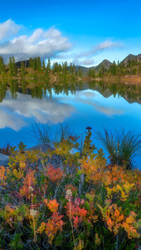 Jesień nad jeziorem Basin Lake