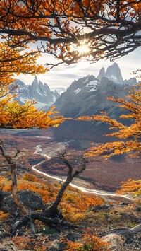 Jesień w Parku Narodowym Los Glaciares