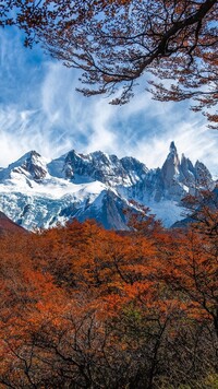 Jesienne drzewa i krzewy na tle ośnieżonych And i szczytu Fitz Roy